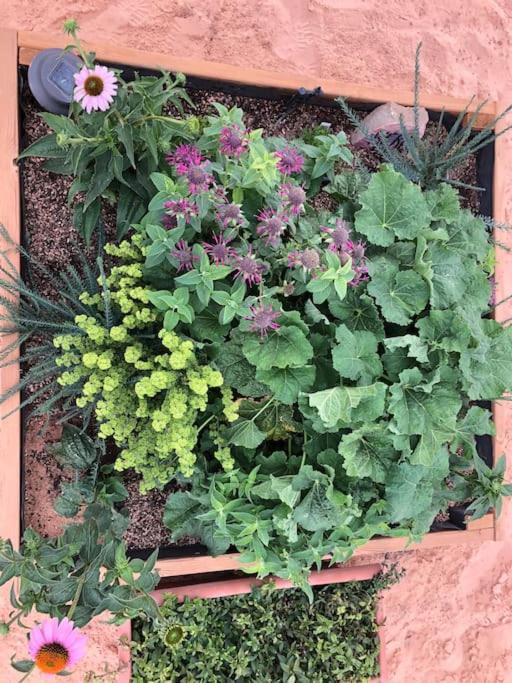Hildale Atlantis Garden Tiny Home מראה חיצוני תמונה