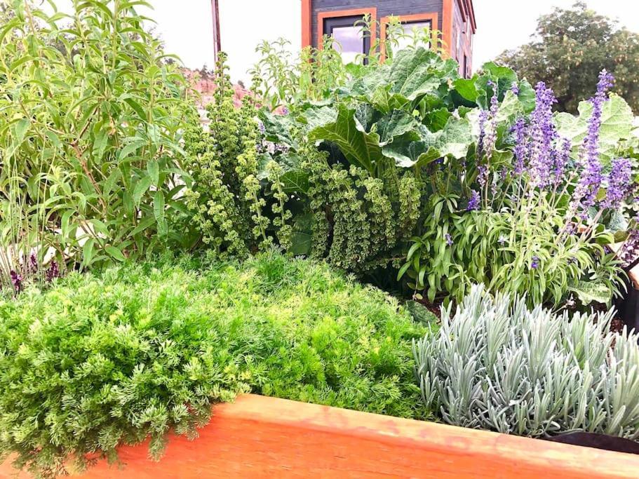 Hildale Atlantis Garden Tiny Home מראה חיצוני תמונה