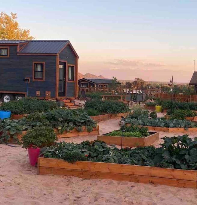 Hildale Atlantis Garden Tiny Home מראה חיצוני תמונה