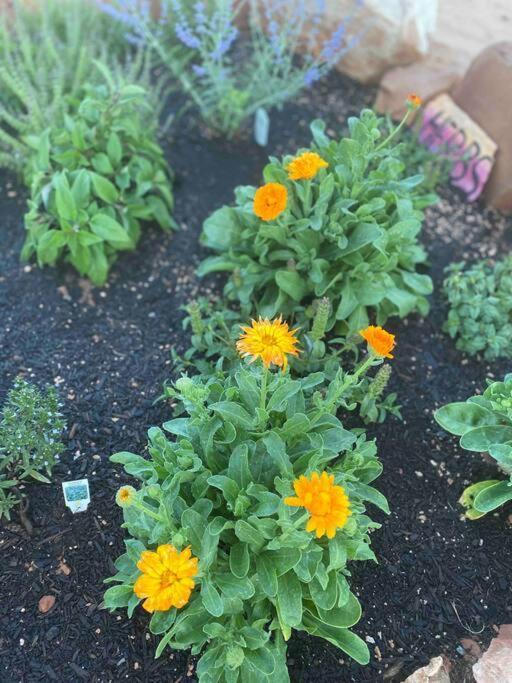 Hildale Atlantis Garden Tiny Home מראה חיצוני תמונה