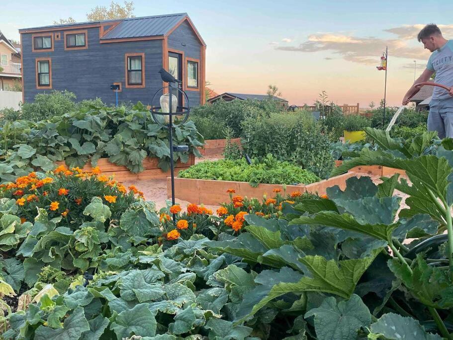 Hildale Atlantis Garden Tiny Home מראה חיצוני תמונה