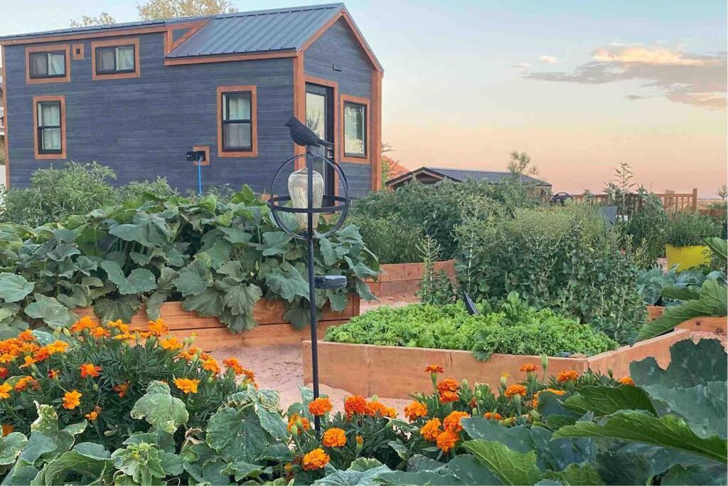 Hildale Atlantis Garden Tiny Home מראה חיצוני תמונה