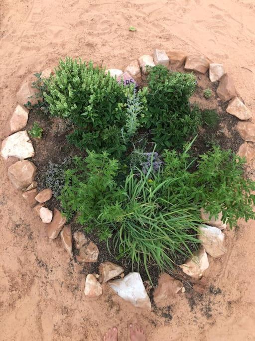 Hildale Atlantis Garden Tiny Home מראה חיצוני תמונה